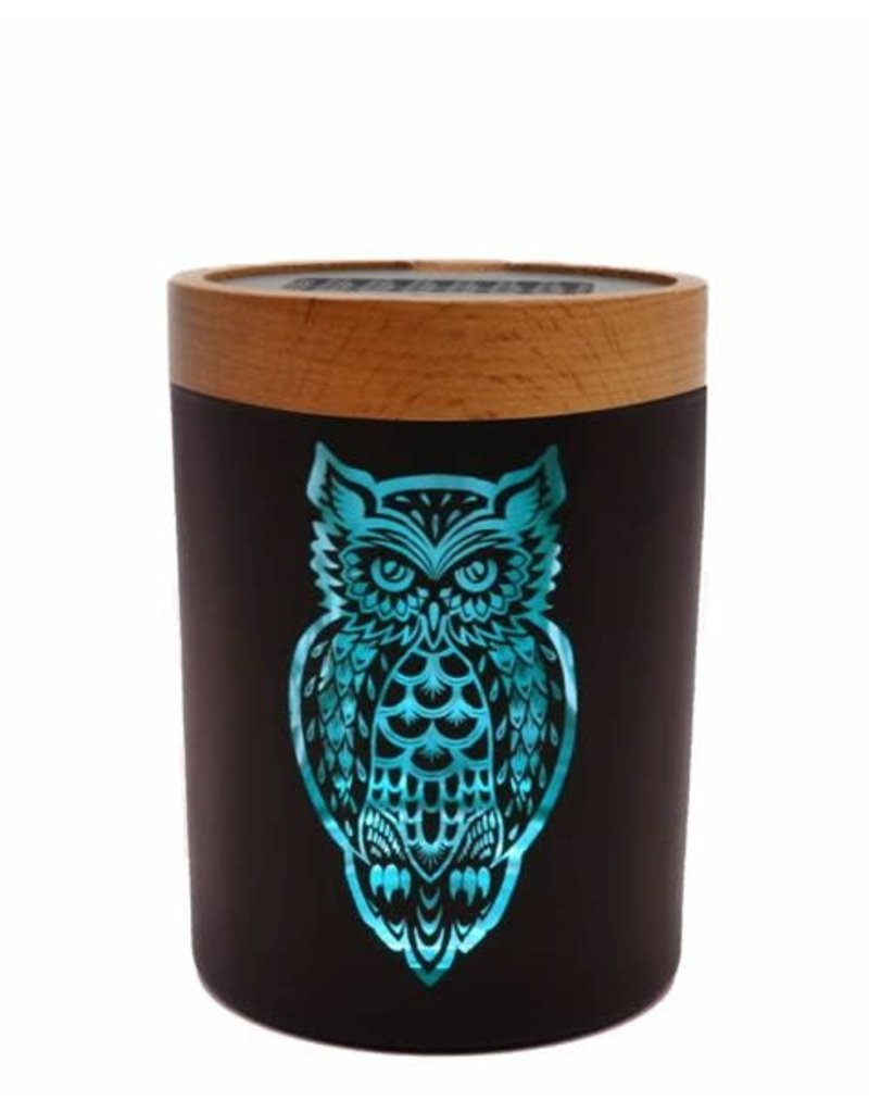 Sole Stash Medium Owlusion Turquoise