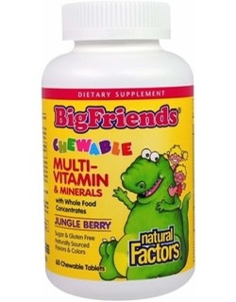 Natural Factors CANADIAN - Big Friends Chewable Multi-Vitamin & Minerals - Jungle Berry (60 tabs)