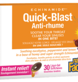 Natural Factors Echinamide - Quick-Blast (30sg)