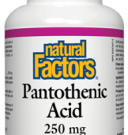 Natural Factors Pantothenic Acid 250mg (90caps)