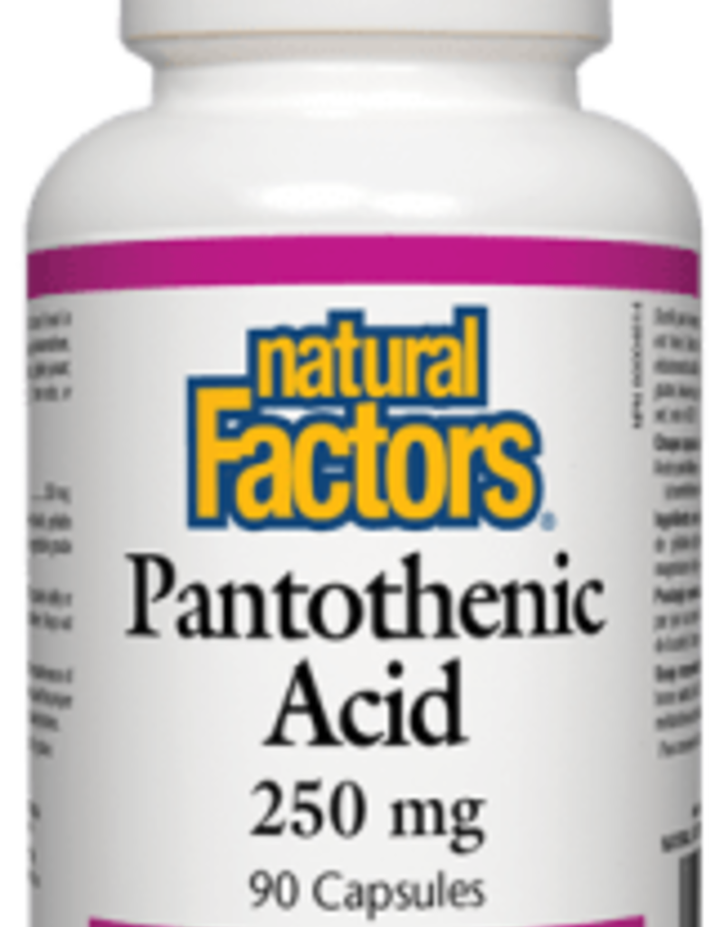 Natural Factors CANADIAN - Pantothenic Acid 250mg (90caps)