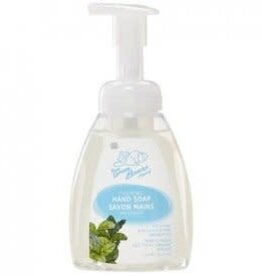 CANADIAN - Hand Wash - Foaming - Fresh Mint (250mL)