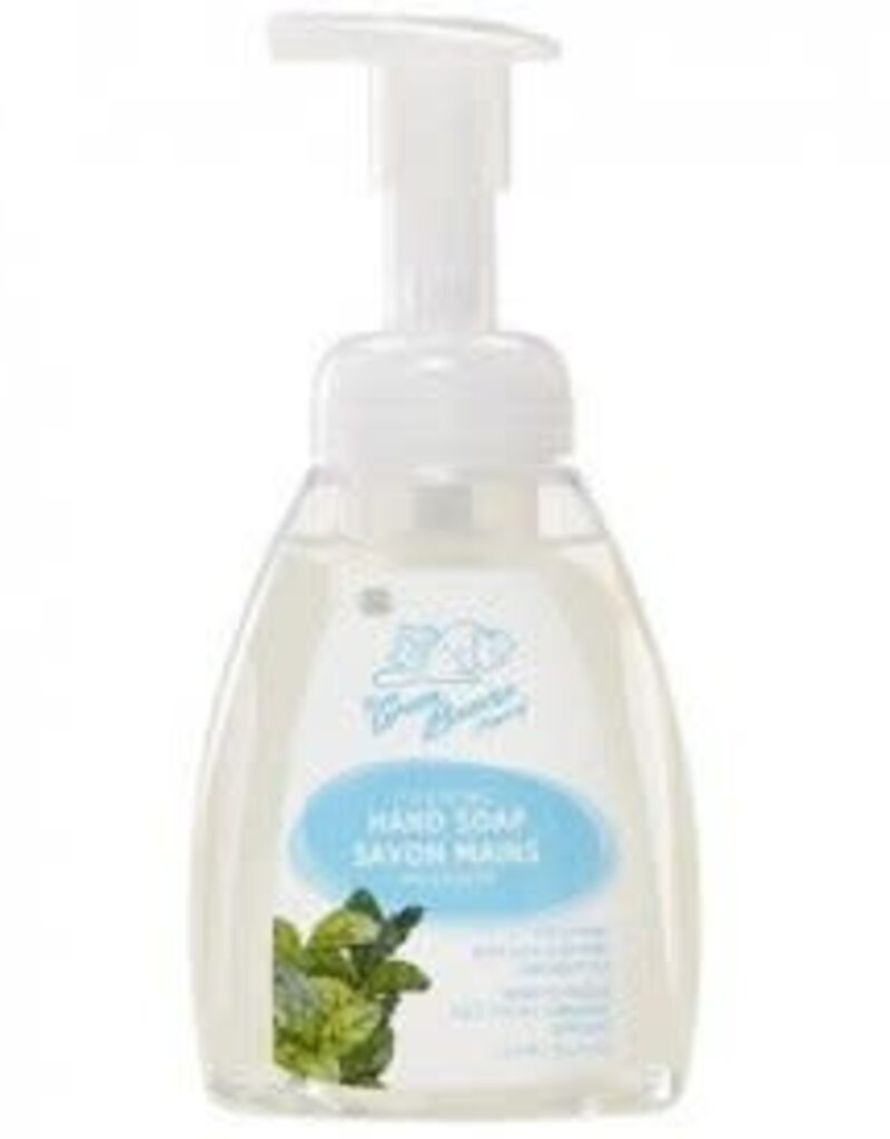 CANADIAN - Hand Wash - Foaming - Fresh Mint (250mL)