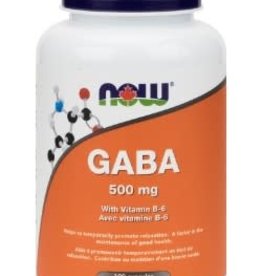 GABA - with Vitamin B-6 500mg (100 caps)