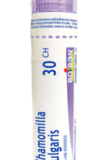 Homeopathic Remedies - Chamomilla 30CH (4g)