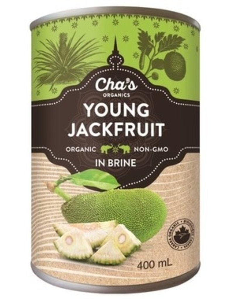 Canned Jackfruit - Young, in Brine (400mL)