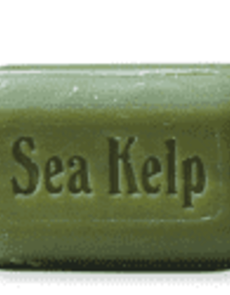 Soap - Sea Kelp Bar
