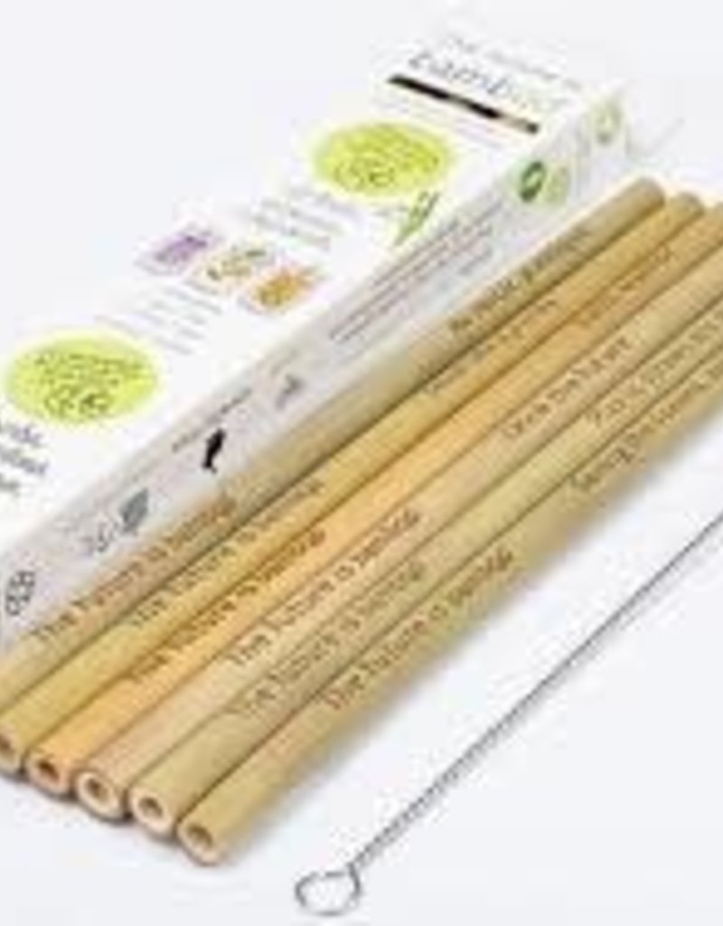 Bamboo Straws (6ct)