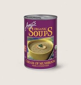 Soup - Organic Cream of Mushroom (398mL)