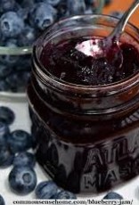 Cravings' Holistic Kitchen Cravings' Jam - Wild Blueberry (250ml)