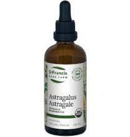 CANADIAN - Astragalus - Tincture (100mL)