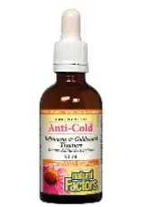 Natural Factors Anti-Cold - Echinamide Echinacea & Goldenseal Tincture (100mL)