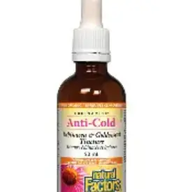 Natural Factors Anti-Cold - Echinamide Echinacea & Goldenseal Tincture (100mL)