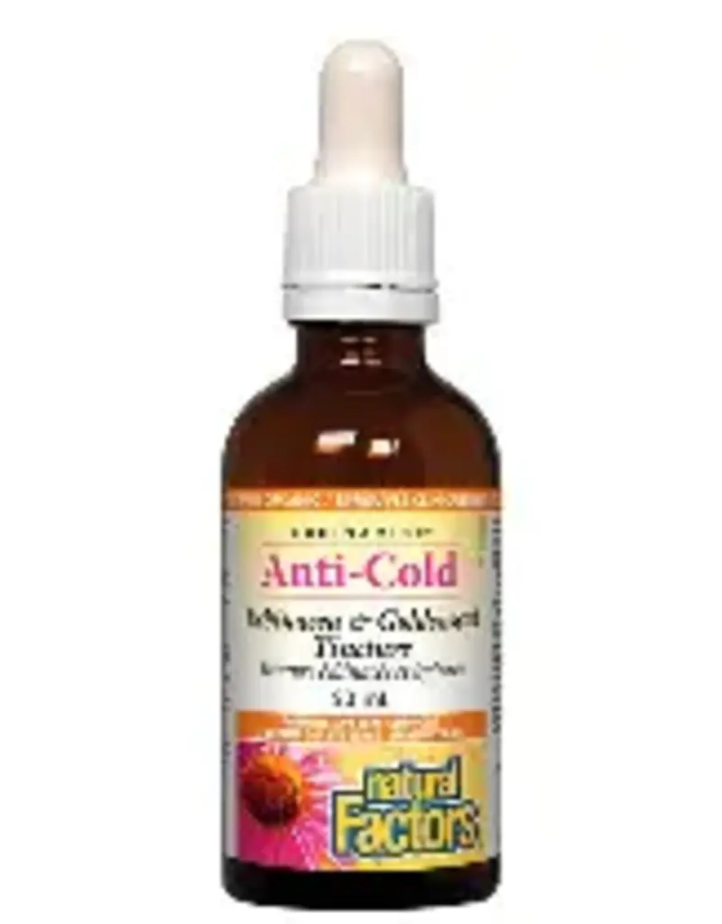 Natural Factors Anti-Cold - Echinamide Echinacea & Goldenseal Tincture (100mL)