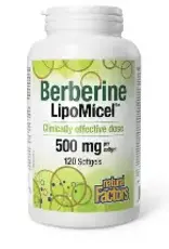 Natural Factors CANADIAN - Berberine LipoMicel 500mg (60sg)
