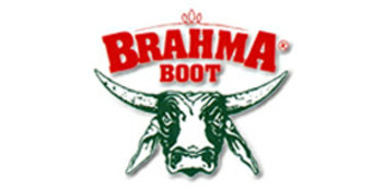 Brahma