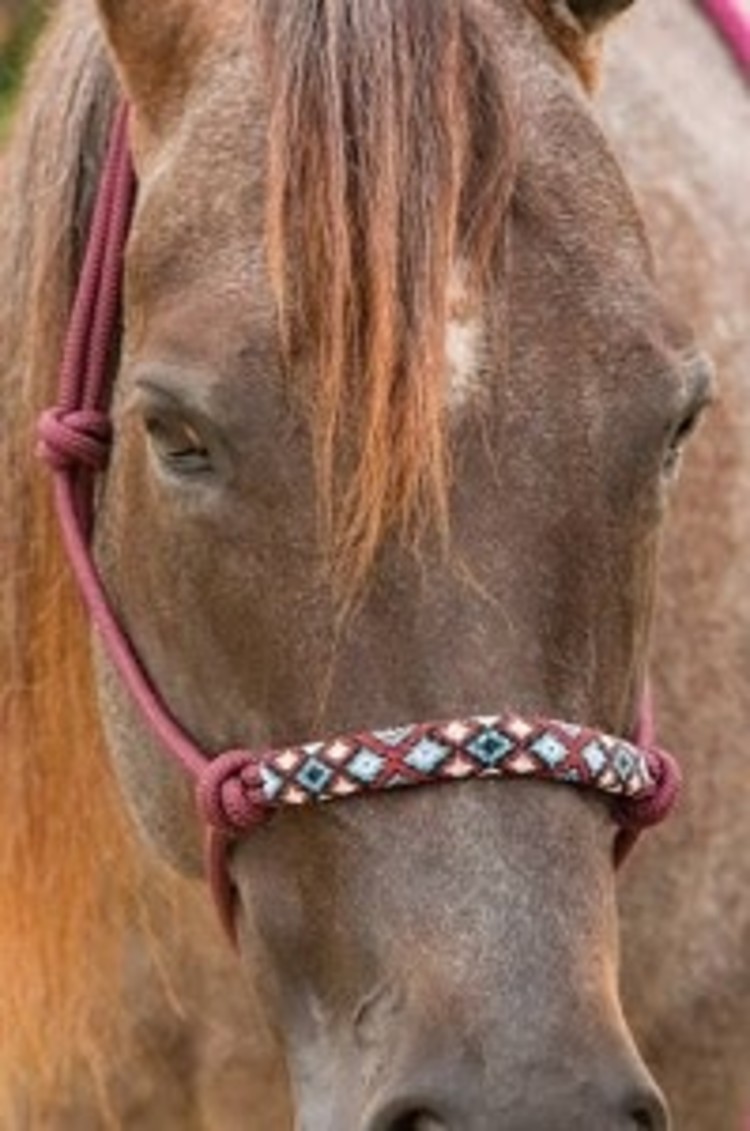 Professional's Choice Beaded Rope Halter
