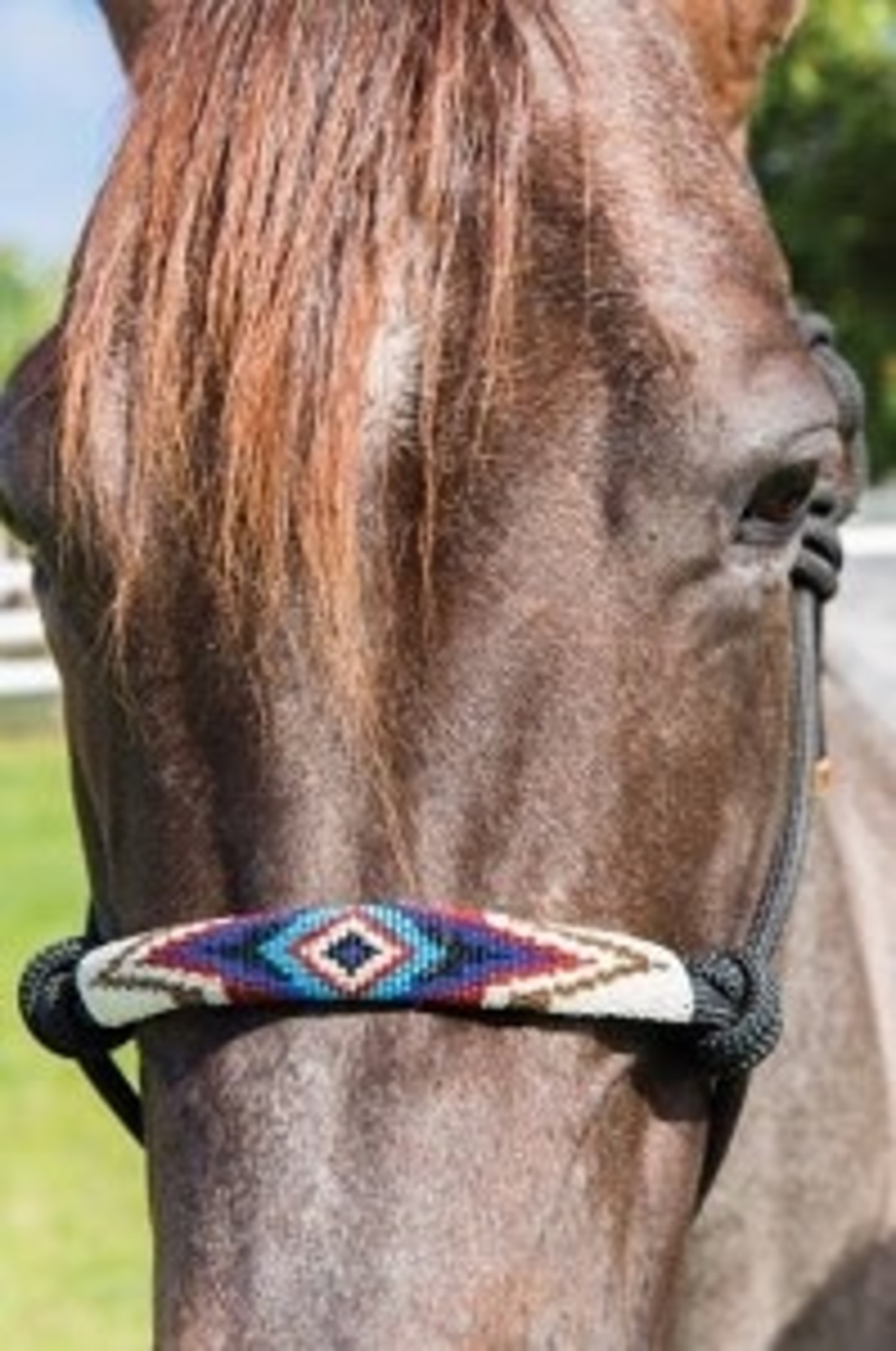 Beaded Cowboy Braid Halter Black/Serape - Frontier Western Shop