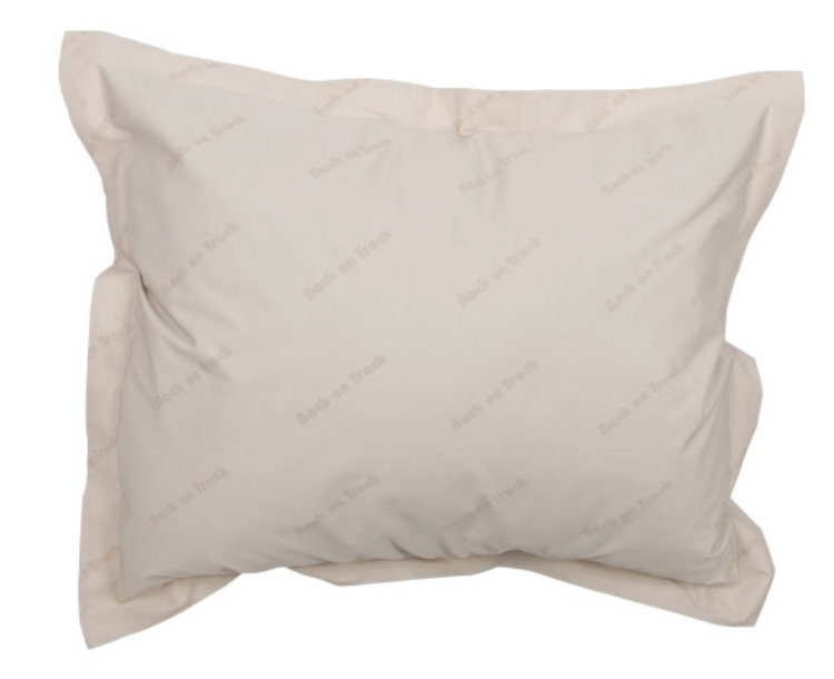 Back On Track Back on Track Pillow Case