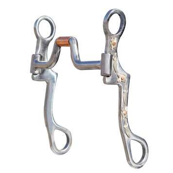 Professional's Choice Bob Avila Byron Shanks Swivel Port Bit