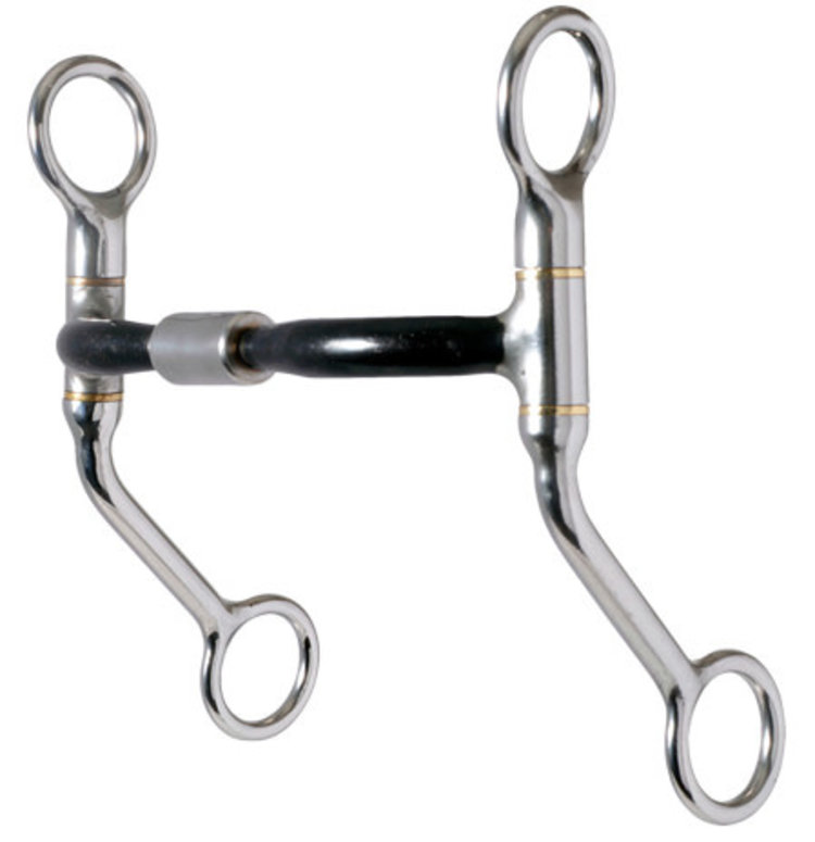 Reinsman Easy Rider Sweet Iron Modified Billy Allen