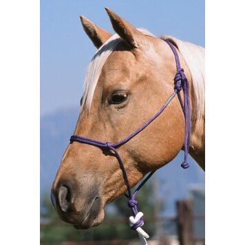 Double Diamond Halter Company #124 Buck Brannaman Collection Rope Halter