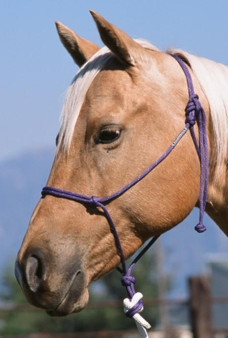 Double Diamond Halter Company #124 Buck Brannaman Collection Rope Halter