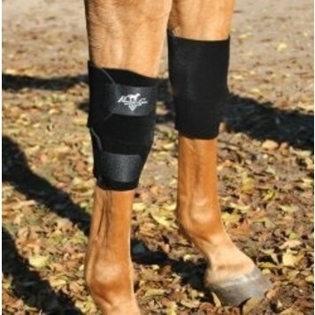 Professional's Choice Knee Boots