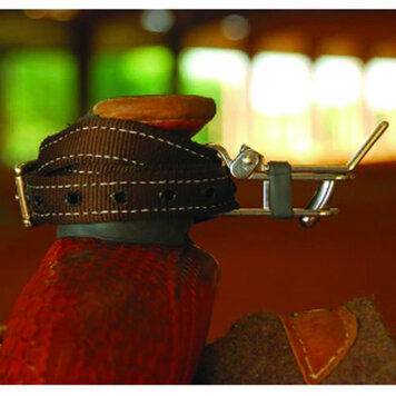 DHS Heeler Quick Release