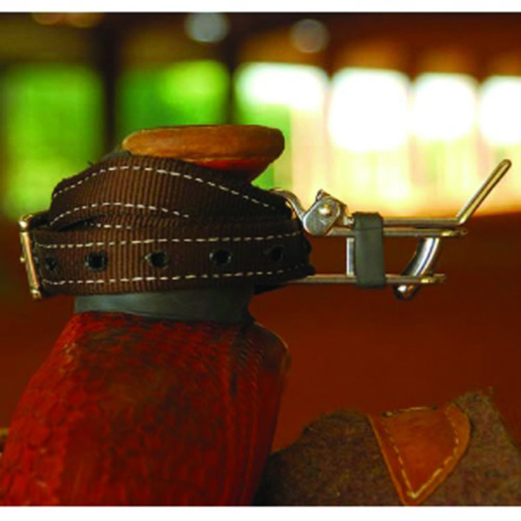 DHS Heeler Quick Release