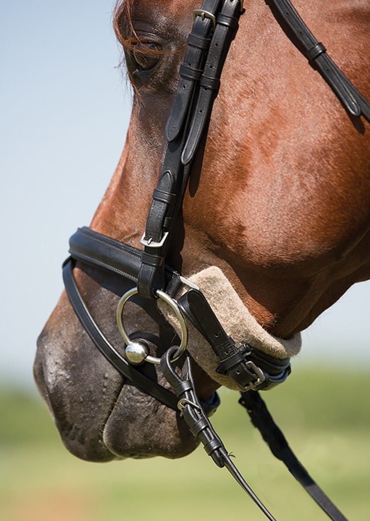 Mustang Softchin Wool Under Pad Tan