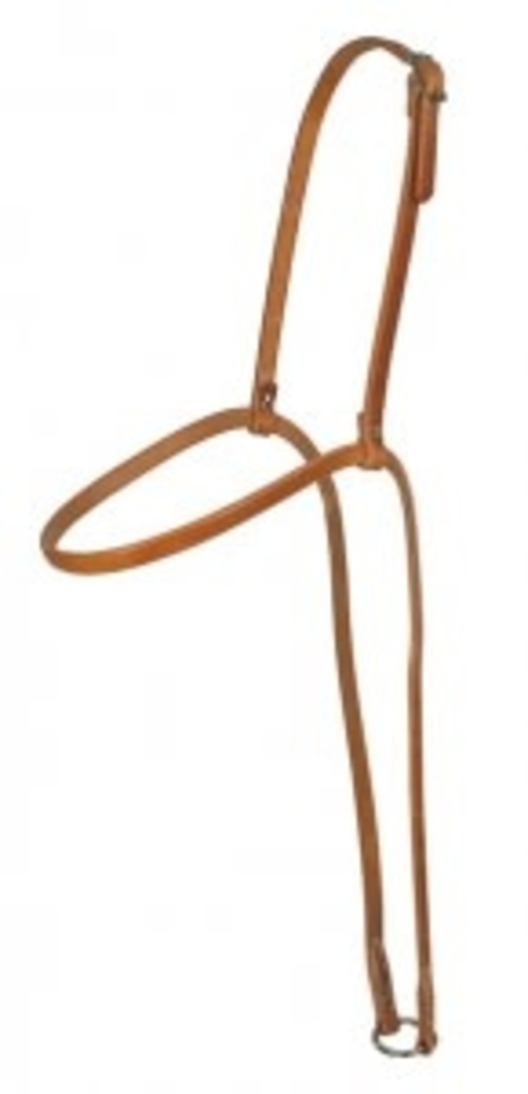 Sharon Camarillo Sharon Camarillo Browband TieDown