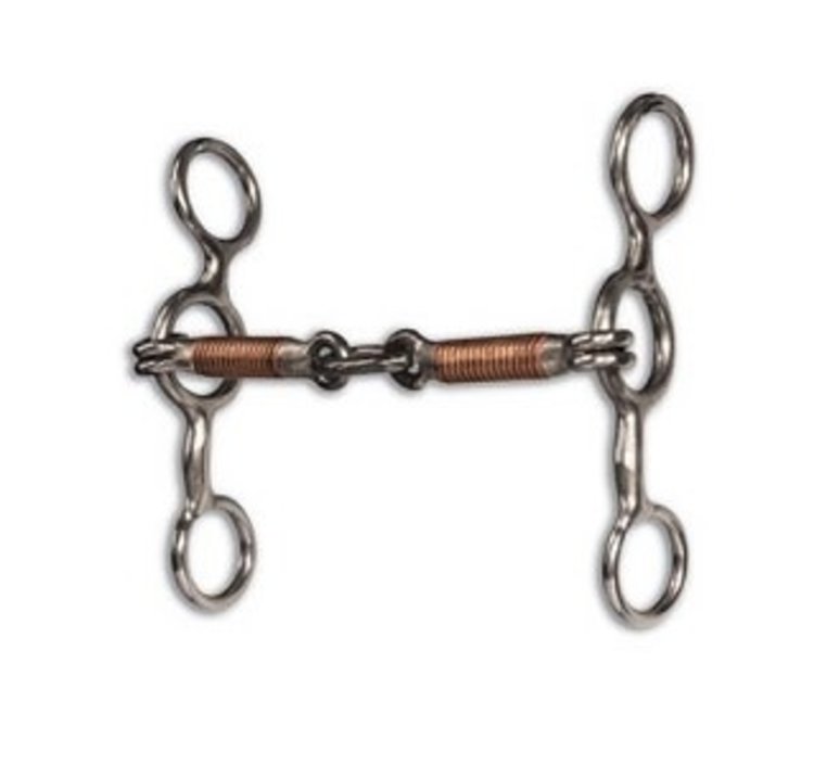 Professional's Choice Equisential Performance Short Shank Lifesaver Bit