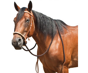 Hackamore Mécanique Sliester Pour équitation Western - Occasion
