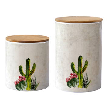 HiEnd Accents 2-PC Succulent Design Canister Set