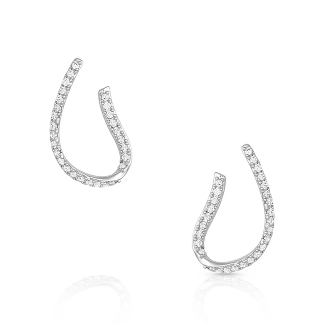 Just a Thought Horseshoe Earrings