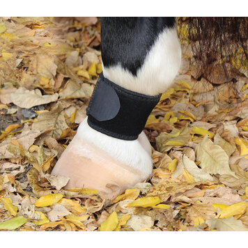 Professional's Choice Pastern Wrap