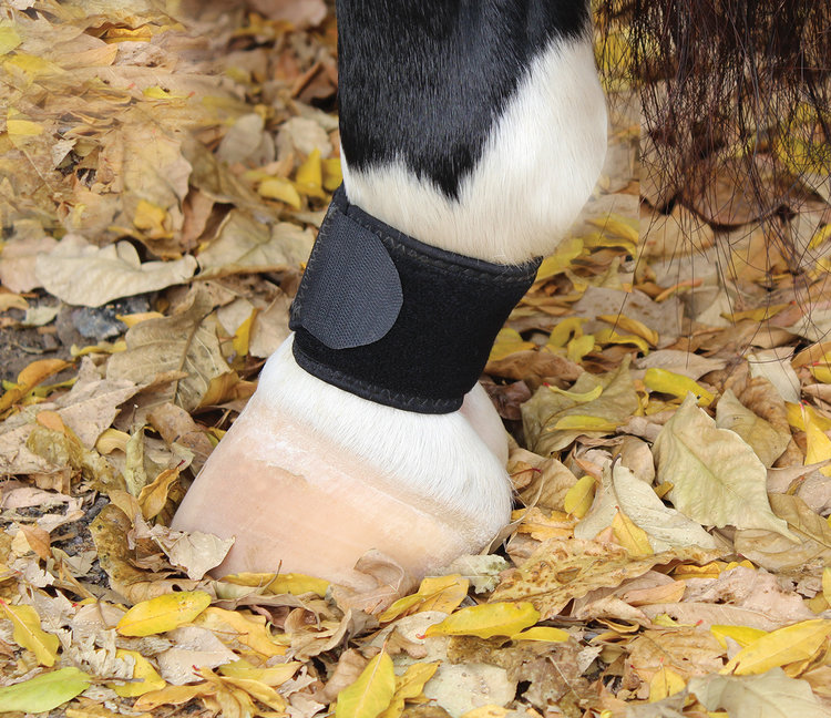 Professional's Choice Pastern Wrap