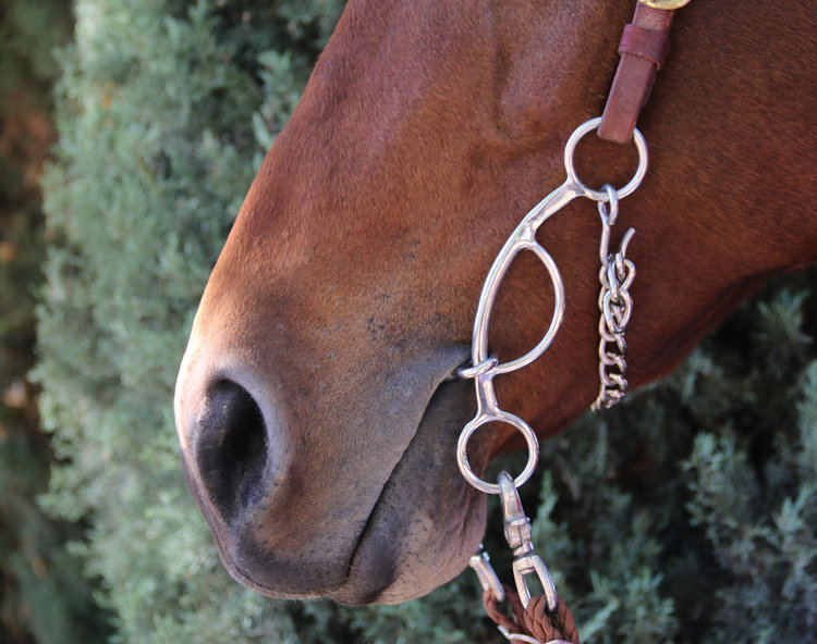 Professional's Choice Futurity  Bit 6.5" Twisted 3 Piece