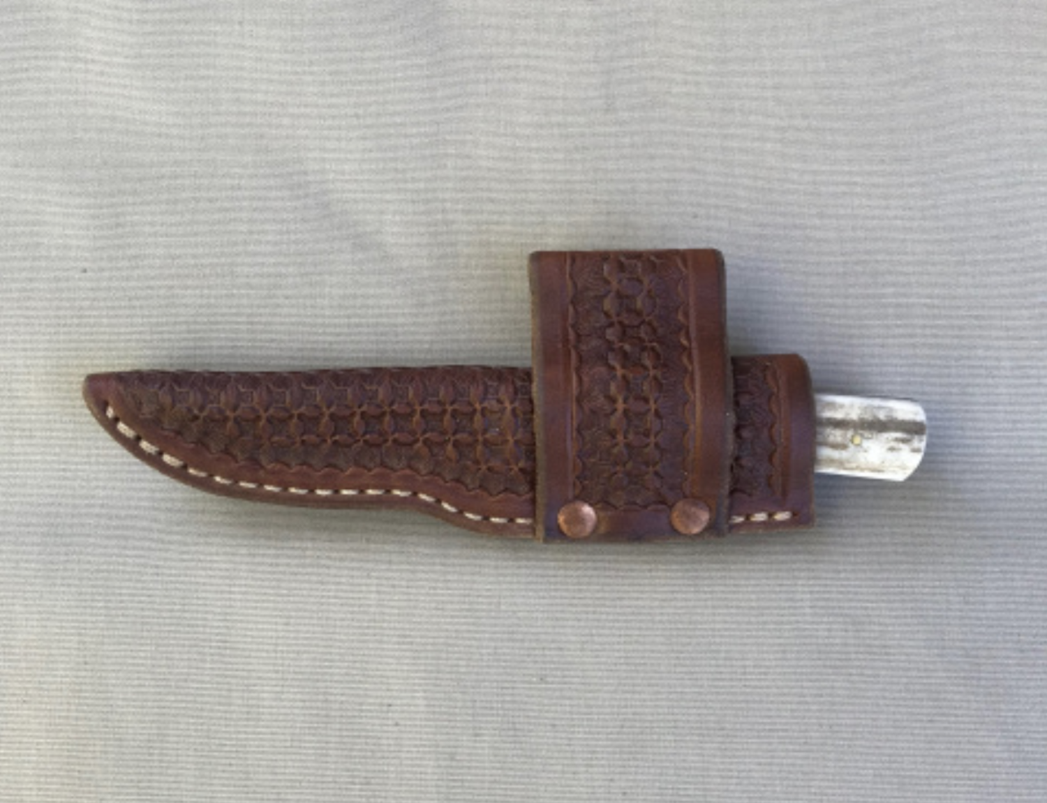 Shark Tooth Fixed Blade Knife with Leather Sheath