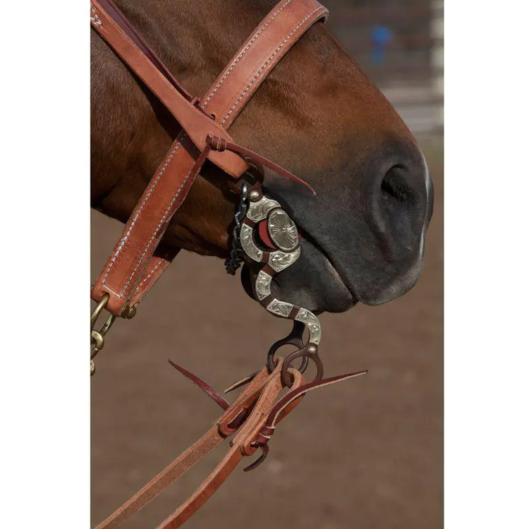 Blessing Bits Tommy Blessing 8" Large Port Chain Bit