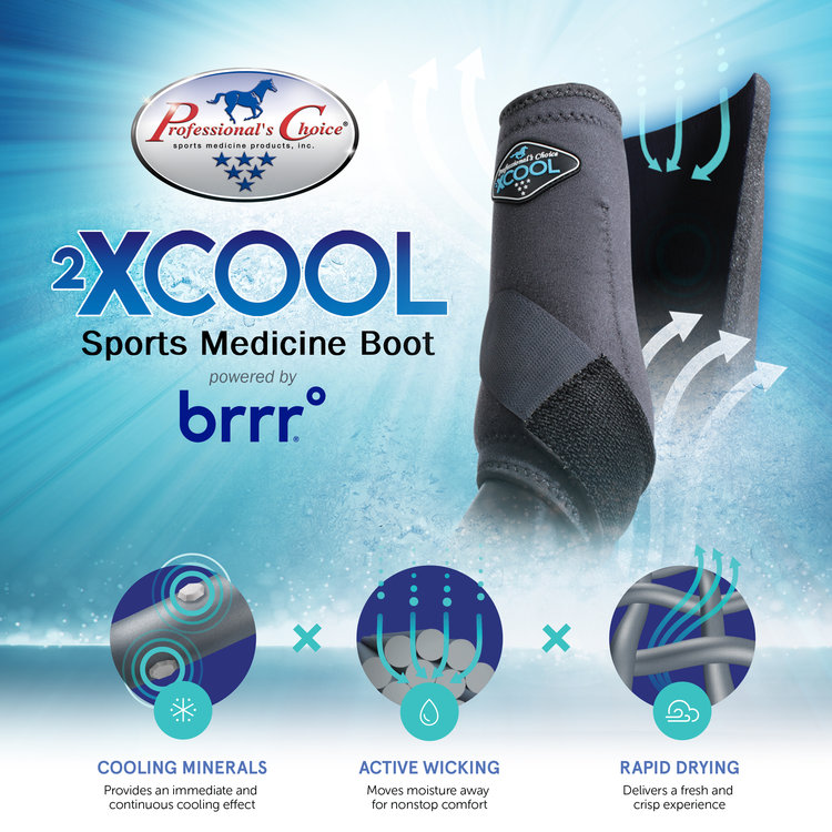 Professional's Choice 2XCool SMB 4 Pack Pacific Blue