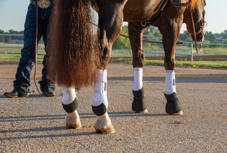 Professional's Choice 2XCool SMB 4 Pack White