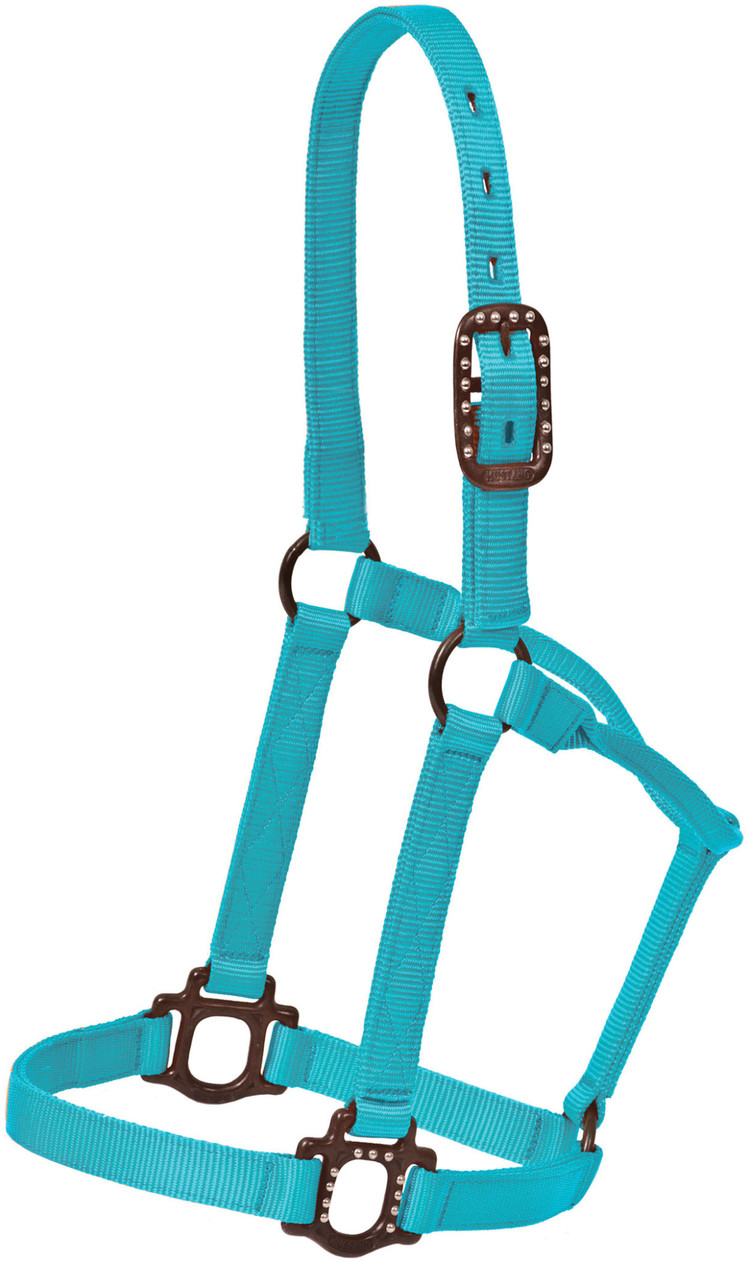 Mustang Antique Dot Halter Aqua