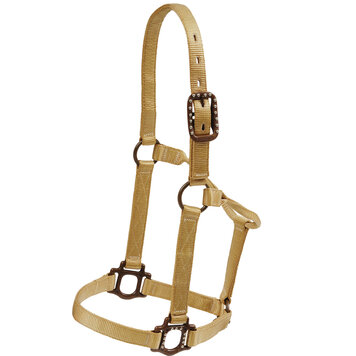 Mustang Antique Dot Halter Tan