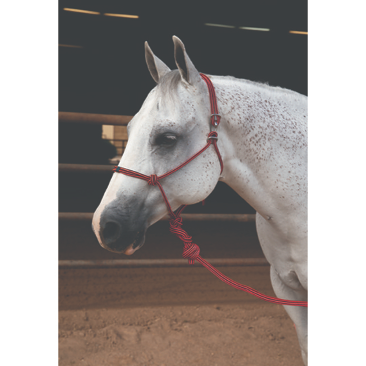 Professional's Choice Easy On Rope Halter Red