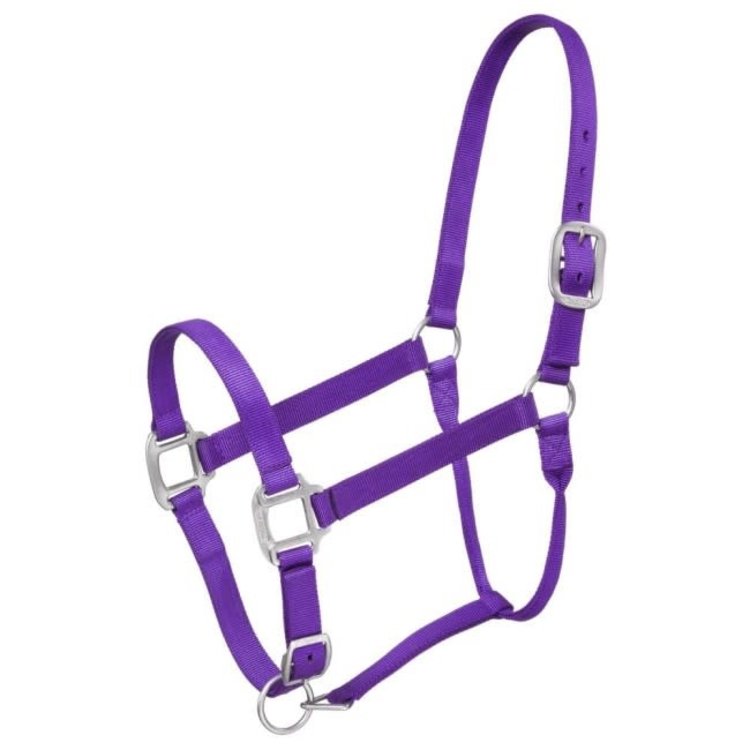 Tough 1 Premium Nylon Halter Purple