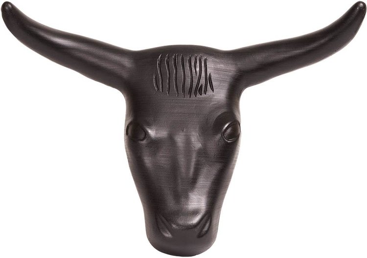 Mustang Practice Steer Head