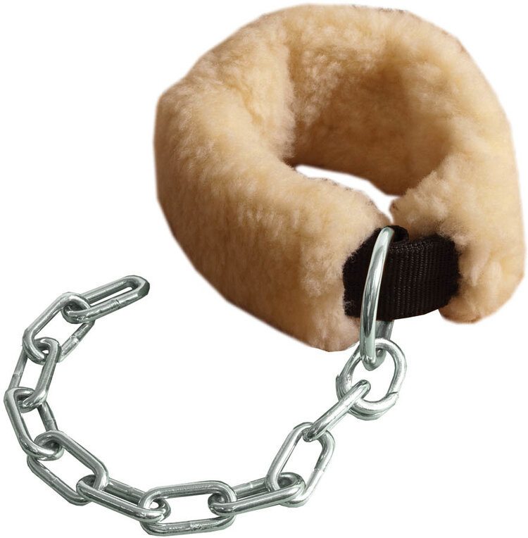 Mustang Kick Chain
