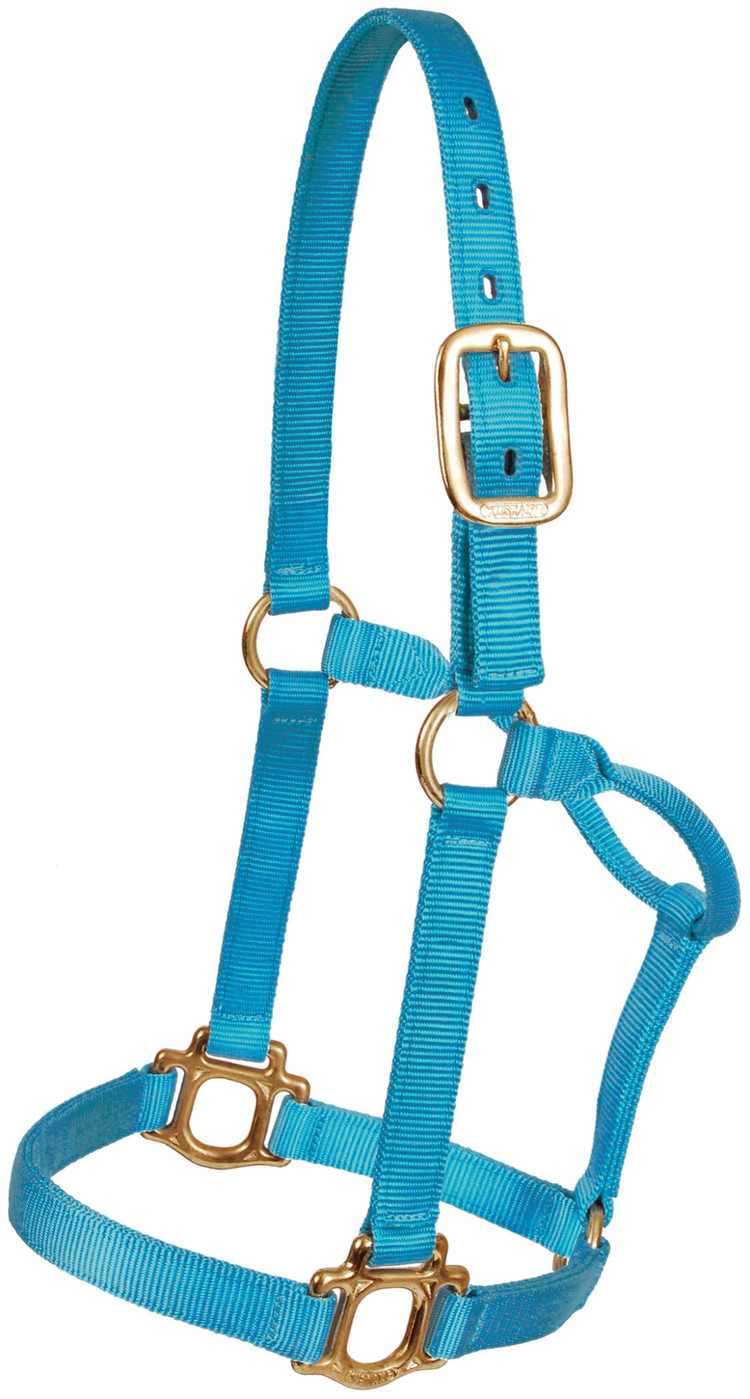 Mustang Traditional 1" Nylon Halter